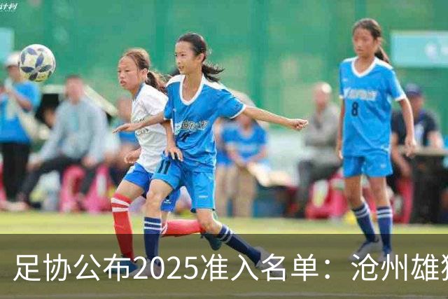 足协公布2025准入名单：沧州雄狮、广州队无缘